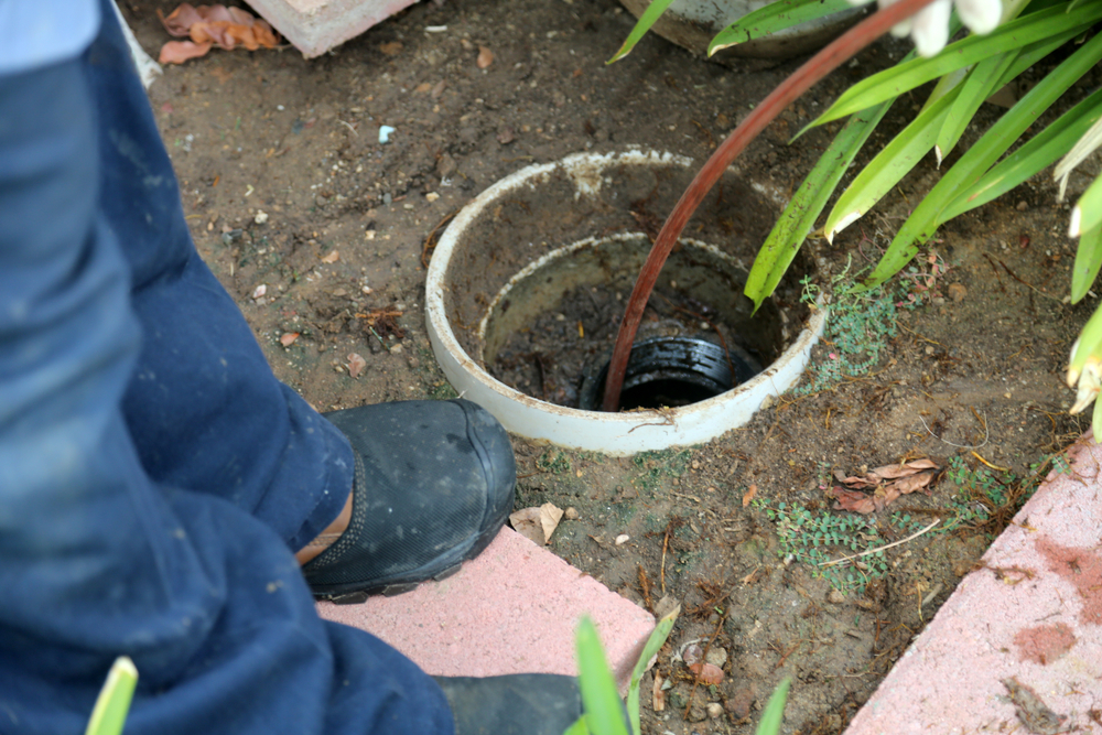 sewer-line2